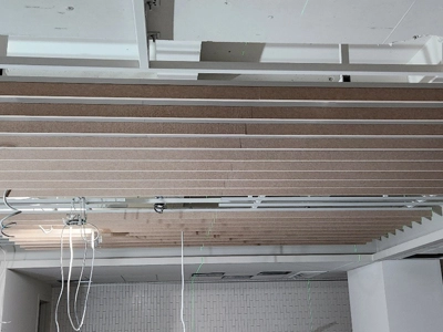 PET Suspended Ceiling Panel, from Loreal, South Korea